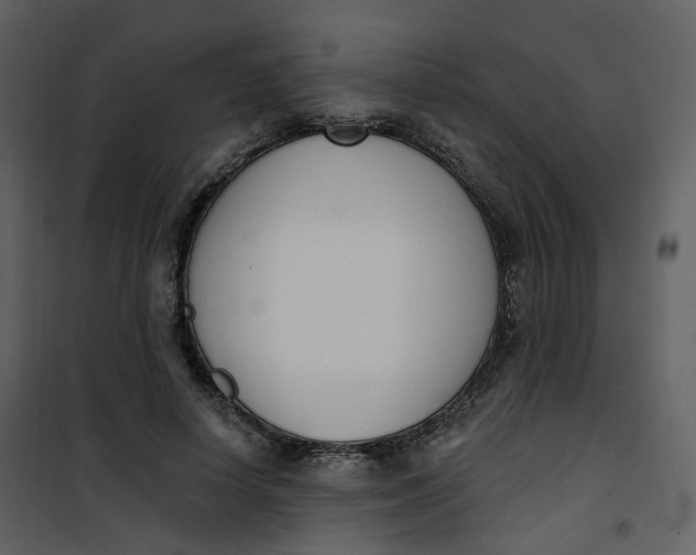 X0000101200642200807181536