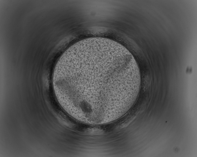 X0000101200644200807181536