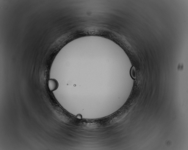 X0000101200645200807181536