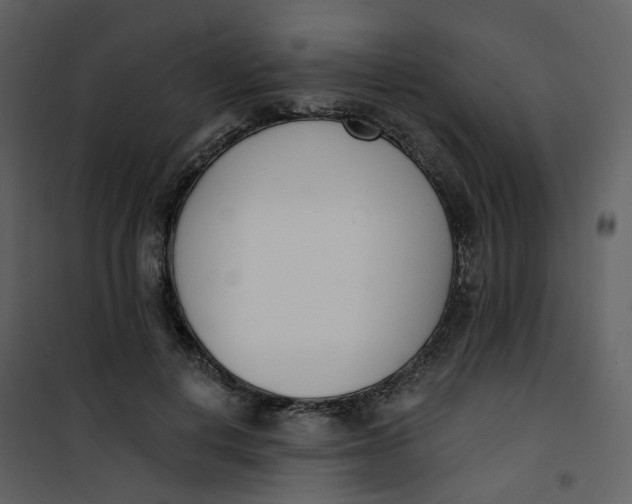 X0000101200648200807181536