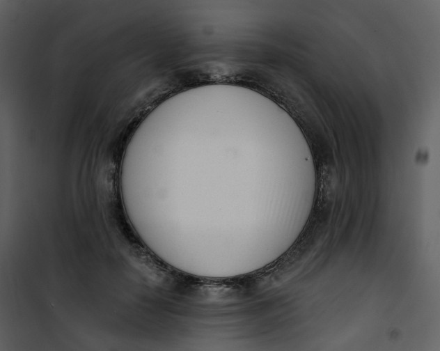 X0000101200650200807181536