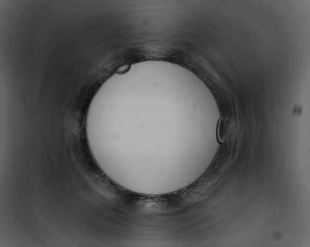 X0000101200655200807181536