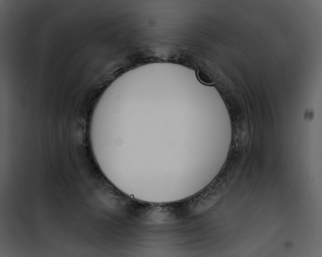 X0000101200656200807181536