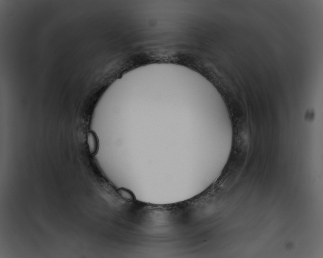 X0000101200658200807181536