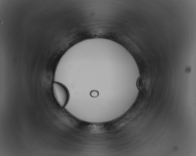 X0000101200660200807181536