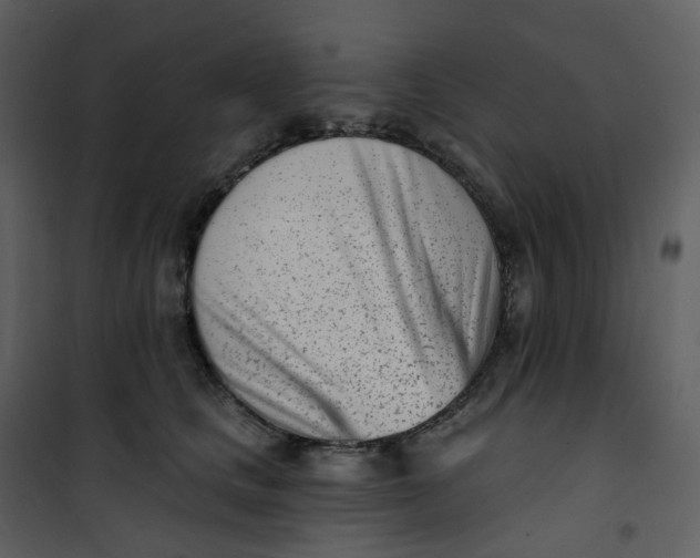 X0000101200661200807181536