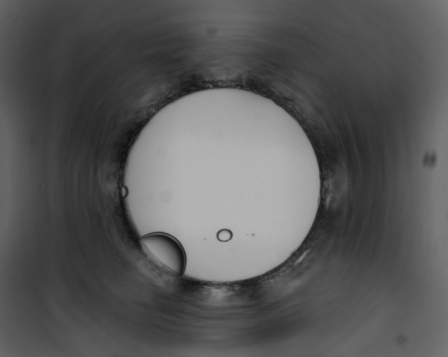 X0000101200662200807181536