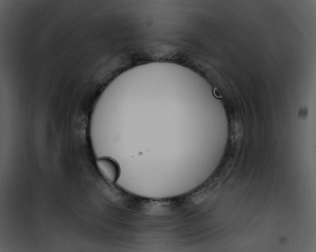 X0000101200664200807181536