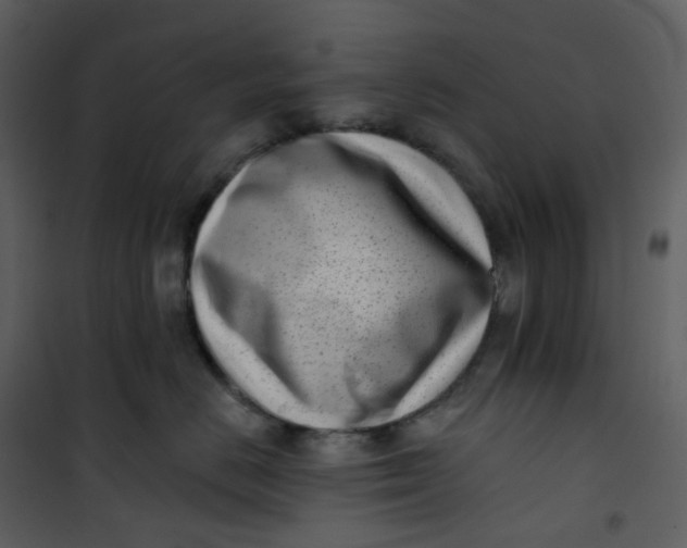 X0000101200670200807181536