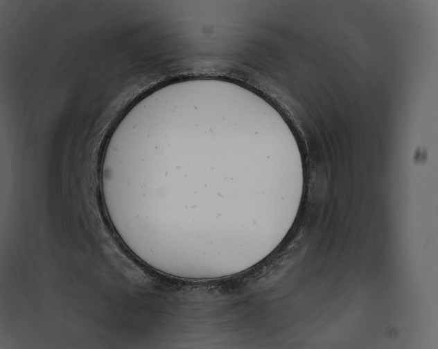 X0000101200673200807181535