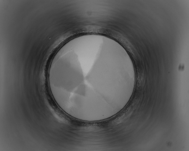 X0000101200674200807181535