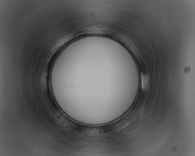 X0000101200675200807181535