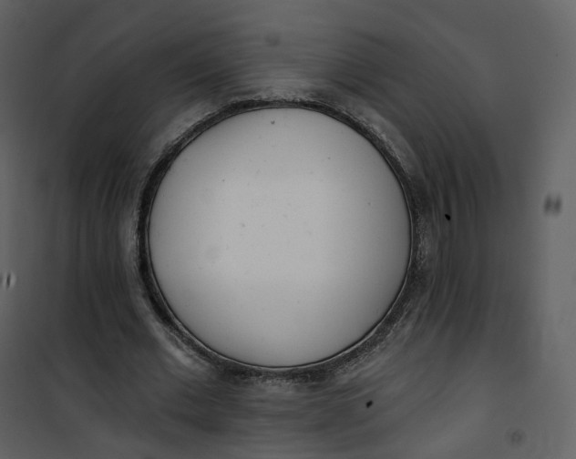 X0000101200677200807181535