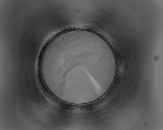 X0000101200678200807181535