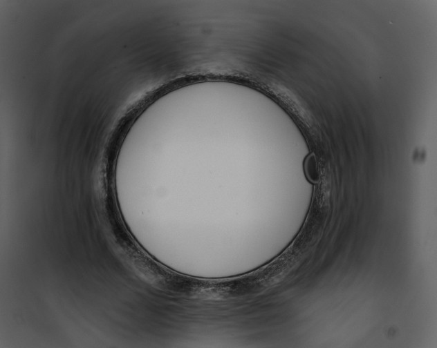 X0000101200680200807181535