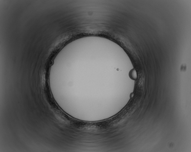 X0000101200685200807181535