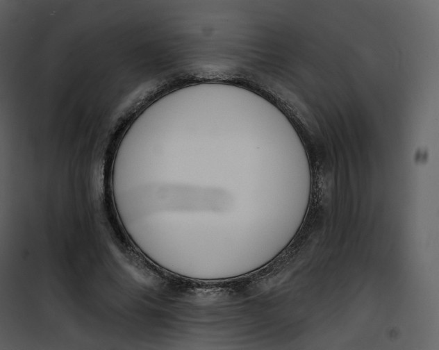 X0000101200686200807181535