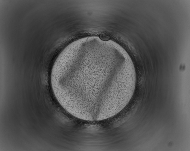 X0000101200689200807181535