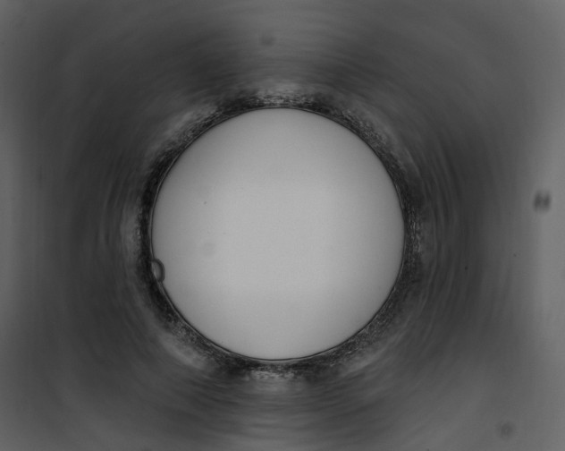 X0000101200690200807181535