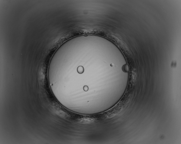 X0000101200691200807181535