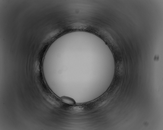 X0000101200692200807181535