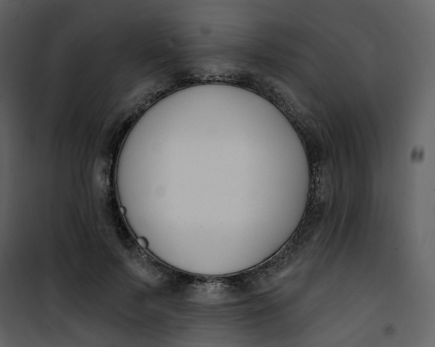 X0000101200695200807181535