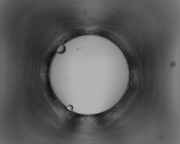 X0000101200698200807181535