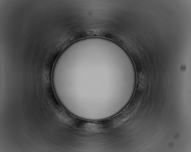 X0000101200699200807181535