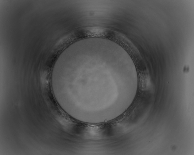 X0000101200701200807181535