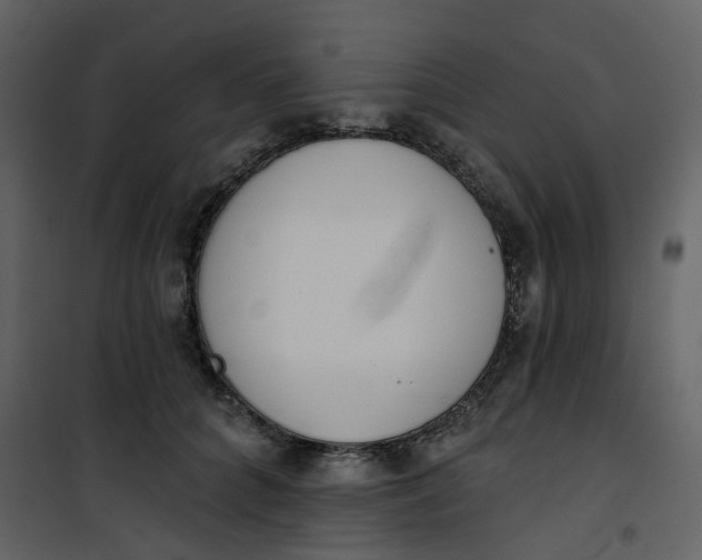 X0000101200704200807181535