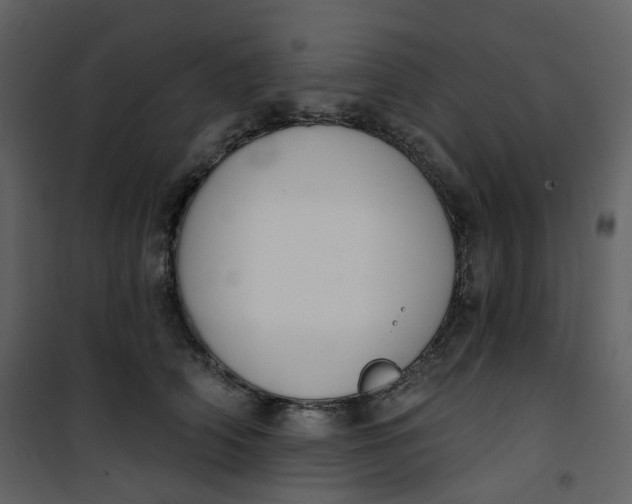 X0000101200706200807181535