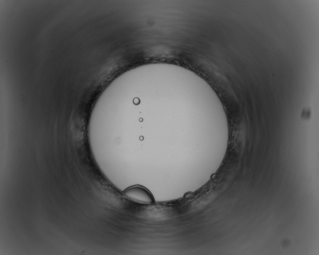 X0000101200708200807181535