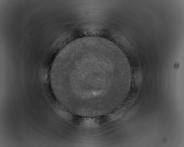 X0000101200709200807181535