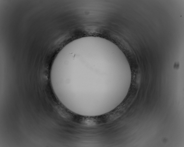 X0000101200710200807181535