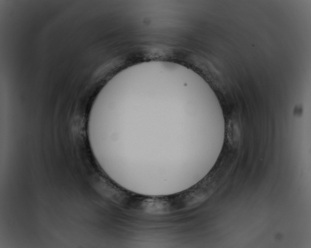 X0000101200714200807181535