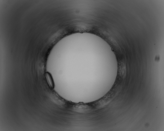 X0000101200716200807181535