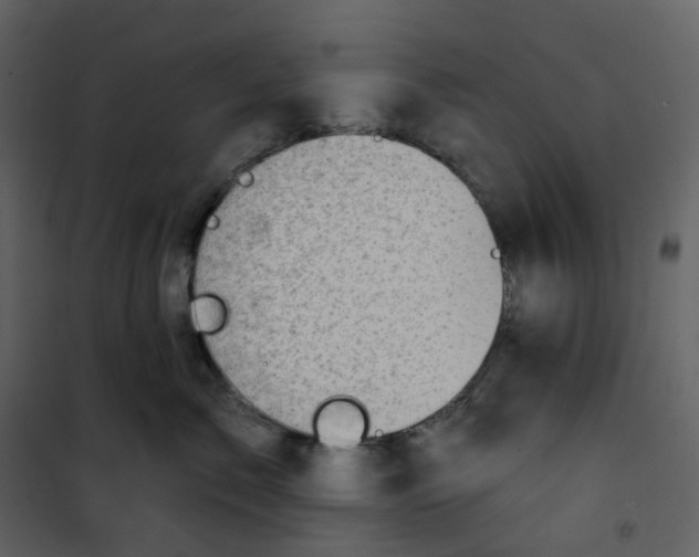 X0000101200717200807181535