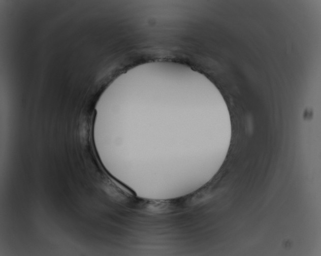 X0000101200720200807181535