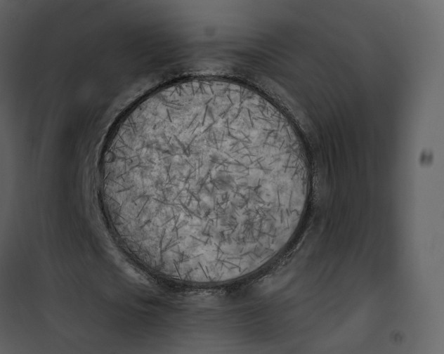 X0000101200721200807181534