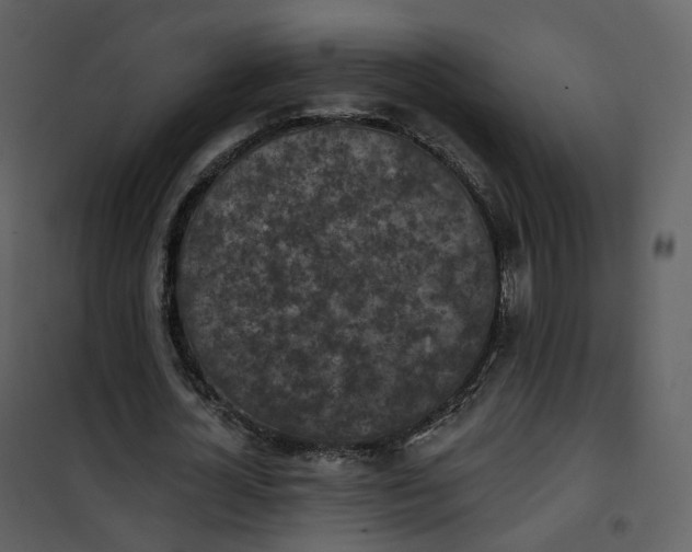 X0000101200724200807181534