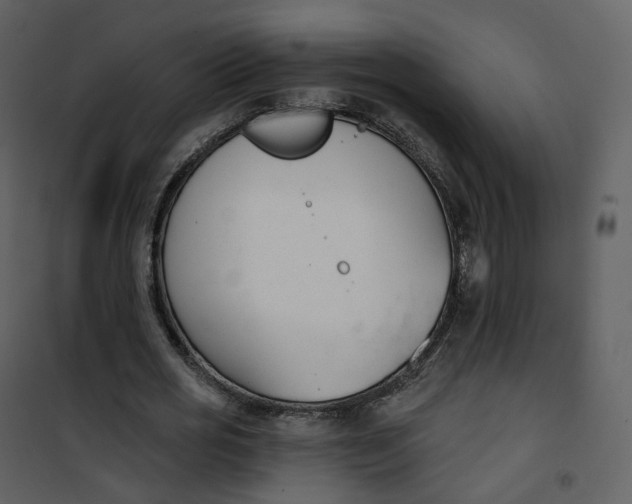 X0000101200725200807181534