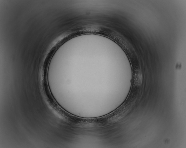 X0000101200726200807181534