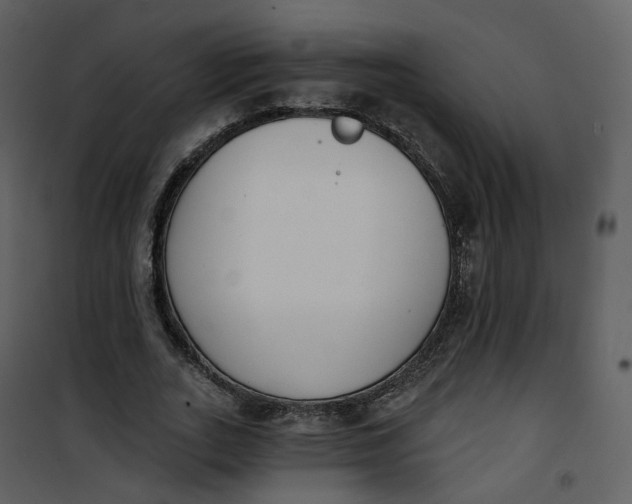 X0000101200727200807181534