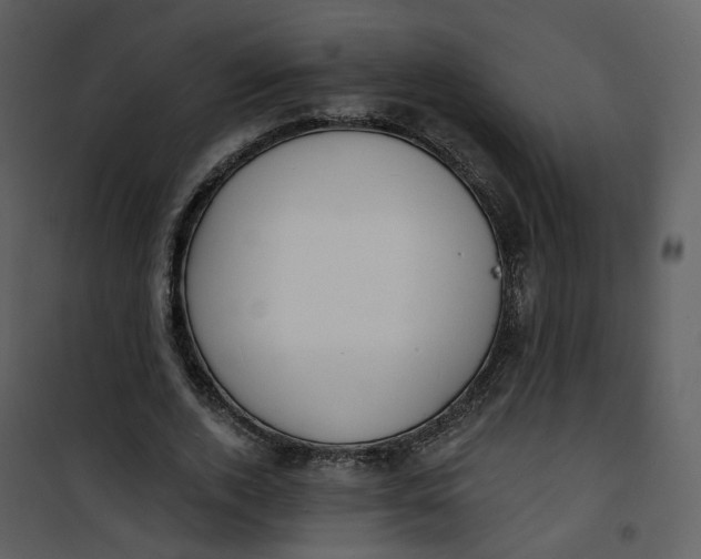 X0000101200728200807181534