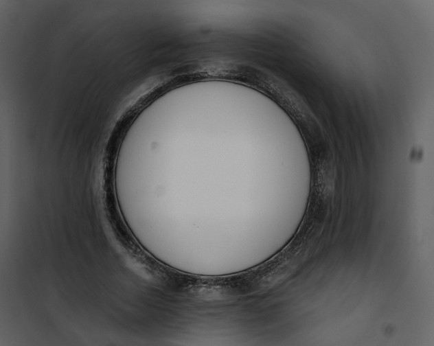 X0000101200730200807181534