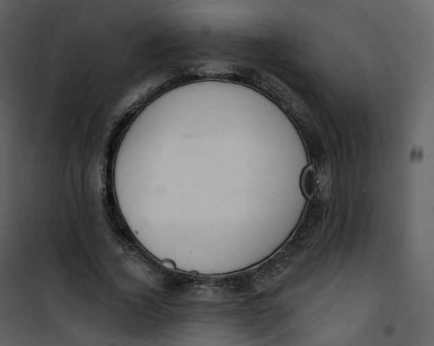 X0000101200732200807181534