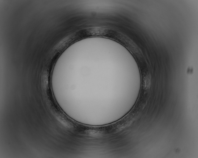 X0000101200733200807181534