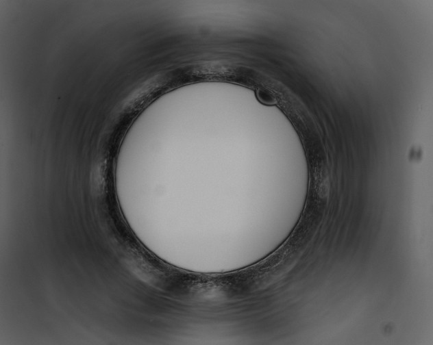 X0000101200735200807181534