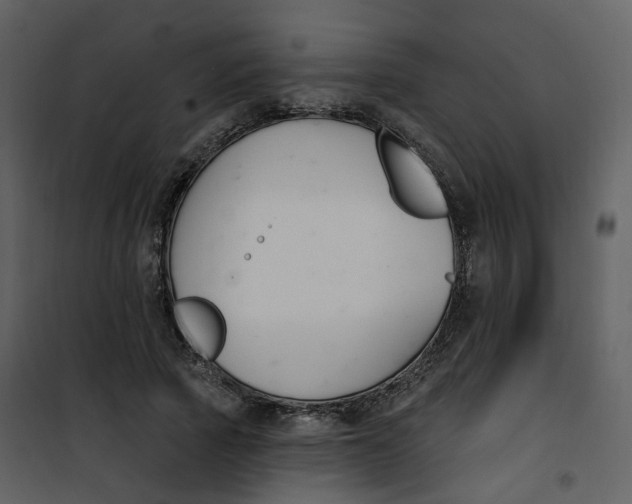 X0000101200737200807181534