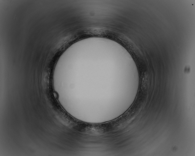 X0000101200739200807181534